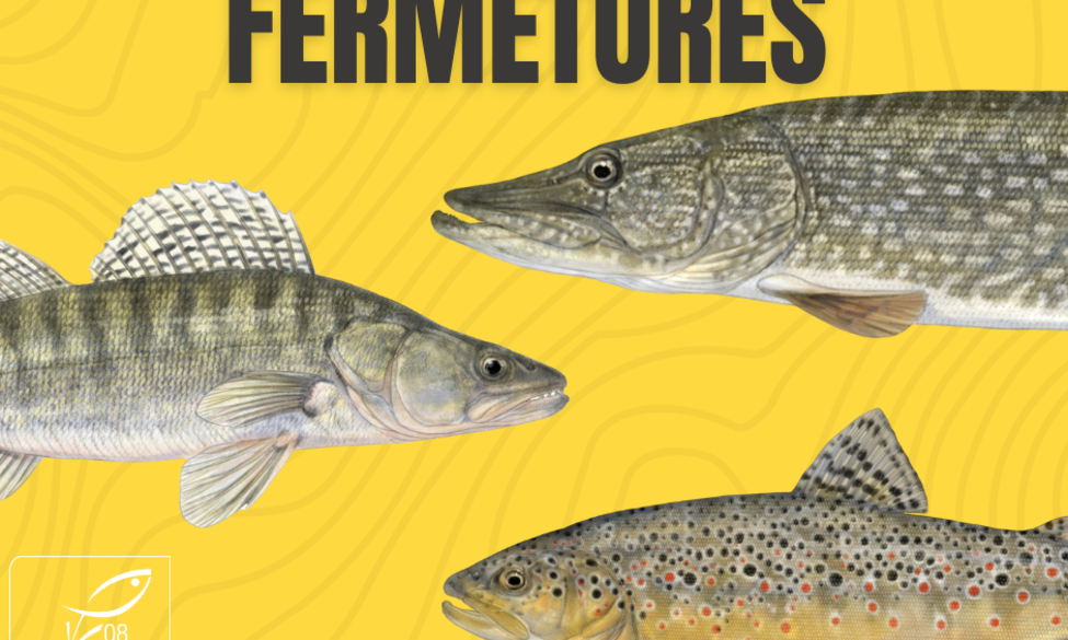 Le mot de la semaine 