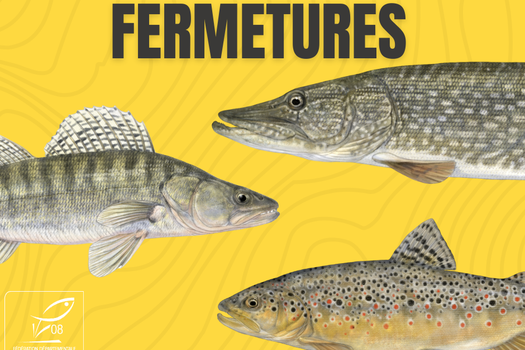 Le mot de la semaine 