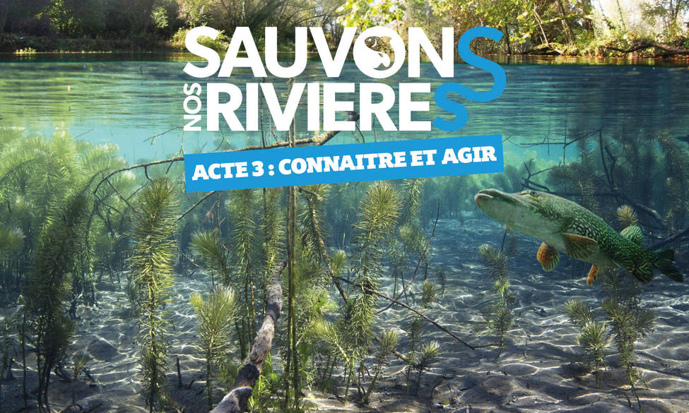 Sauvons nos rivières - Acte 3 - Connaître et agir