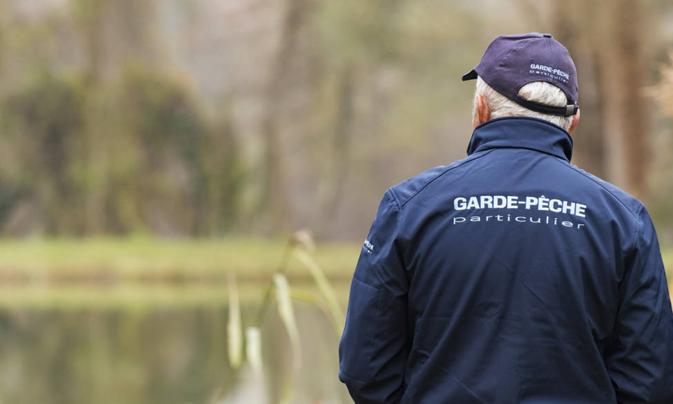 Le mot de la semaine 