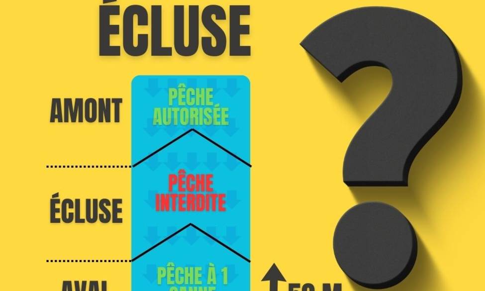 Le mot de la semaine 