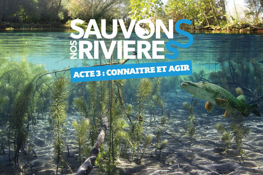 Sauvons nos rivières - Acte 3 - Connaître et agir
